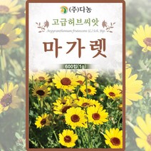 마가렛 마거리트 금황꽃 600립(1g) / 다년생 꽃 꽃씨 몰 봄 여름 가을 종자 다농