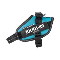 Julius-K9 IDC 반려견 파워하네스 미니-미니 아쿠아마린 정품보장, Aquamarine