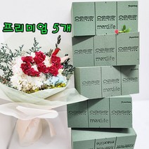 (샤인 몰) 플로랄폼 오아시스 프리미엄 벽돌형 낱개 5장 /꽃꽂이 수반