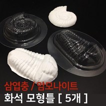 5P 암모나이트 삼엽충 화석 만들기 모형틀 실험실 고고학 식물 과학실 유치원 초등과학 뼈, 암모나이트 5개