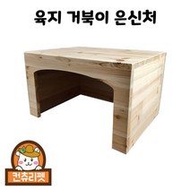 육지 거북이 원목 은신처 (중)