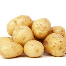 강원도 햇감자 두백감자 못난이감자 3kg 5kg 10kg 20kg, 두백감자 5kg 왕(210g이하)