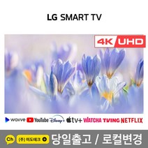 LG 75인치 4K 스마트 UHD TV 75UN6955 빠른설치, 2. 수도권지역 벽걸이 설치 요청
