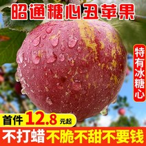정통 운남 Zhaotong 못생긴 사과 9 catties 바위 사탕 심장 신선한 과일 갓 고른 바삭하고 달콤한 붉은 후지 10, 1.  9캐티, 5.  90mm(포함)-95mm(단독) [초대형 열매]
