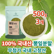 100% 국내산 고창산 무첨가 뽕잎 뽕나무잎 가루 분말 500g, 국산 뽕잎가루 500g x 3개