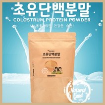 에너데이 초유단백분말 120g 고단백 초유단백질 초유가루 면역글로불린 immunoglobulin 어른 성인 단백질 가루 파우더 소초유 lgg 초유프로틴, 단품