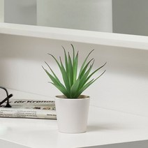 1+1 이케아 FEJKA 페이카 인조 다육 식물 화분 6cm 1P, 8개