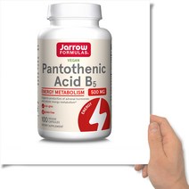 자로우 판토텐산 B5 500mg pantothenic 100베지캡슐, 1개, 100정