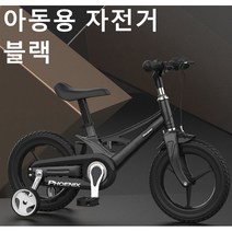 Dream패션 어린이 네발 자전거 아동용 자전거 SYKB100, 14인치, 블랙