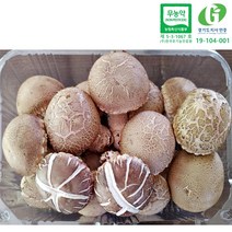 송이향버섯 생 표고버섯 실속형 500g