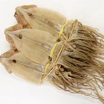 국내산 마른오징어 10마리 400g내외, 1개, 400g