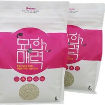 고양이모래 고품질벤토나이트 천연제품 피부보호 국내생산 첨가물무 반려동물 야옹이 강아지 집사 배변 화장실 어린고양이 자극없는 묘 간식 반려 매력_17699EA_17699EA, 본상품선택