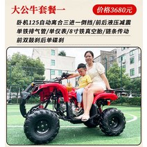 4륜바이크 사발이오토바이 농촌 버기카 효도상품, 빅불125CC패키지1