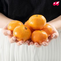 제주 서귀포 감귤 고당도 하우스 프리미엄 귤 500g 800g, 하우스 비가림 감귤 500g (팩)