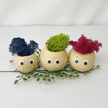 유치원 도예체험 아동미술 클레이 모스화분 만들기세트, 4인용