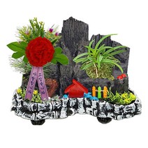 한반도농원 C120-1. 대나무숲 흰색 반솔 풍란+카네이션 참숯 숯분재 생일선물 답례품 체험학습용, 1개