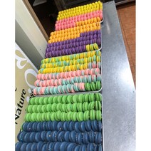 HACCP마카롱납품 뚱카롱납품 수제 마카롱 도매 대량주문 단일 마카롱 160개, 황치즈