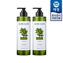 샤워메이트 사철쑥 아크네케어 바디워시 500g x2개, 사철쑥 바디워시 500g x2개, 2개