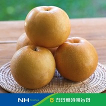 천안배원예농협 농협 알뜰 천안 신고배 5kg, 없음, 1개