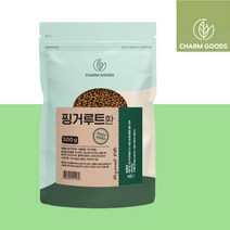 핑거루트 분말 판두라틴 추출물 간편한 핑거루트차 건강 분말 핑크루트 핑그루트 핑거루트물