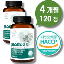 고함량 프리미엄 보스웰리아 효능 프롬 바이오 홈쇼핑 관절 플러스 환 약 BCC 정 추출분말 1000mg 48% 60정 인도산 + 종근당 비타C 젤리 정품 발송!!!, 보스웰리아 4개월 120정