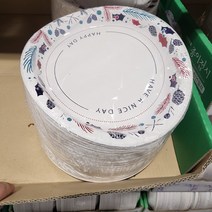 삼풍 친환경 종이접시 26CM 120매 대형 국산 무형광 천연펄프 고급 일회용 접시