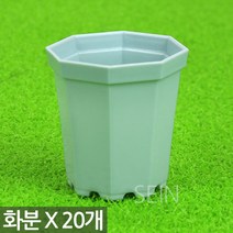 팔각 미니화분 화이트 X 20개 - 플라스틱 화분 다육이화분 어린이집 유치원 어린이 식목일 행사 플분 다육 선인장 식물 모종 삽목 인테리어 홈 가드닝