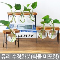 나무 스탠드 유리 수경화분(1P) - 화분 책상화분 거실화분 수경 유리화분 화병 실내화분 인테리어화분 투명화분 식물 유리병 수경재배, 02_Sein_스탠드수경화분(B02)