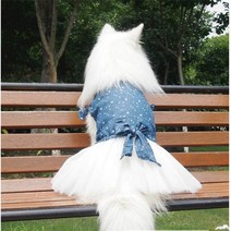 대형견옷 강아지패딩 대형견큰개 드레스 여름 옷 Corgi Samoyed Spitzbn 코커 스패니얼 골든 리트리버 의류, 01 파란_01 M