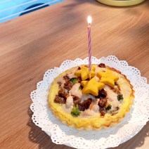 펫푸드온 닭근위타르트 강아지생일케이크, 1개