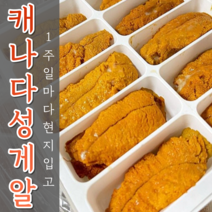 어부언니 프리미엄 캐나다 성게알 우니 100g, 프리미엄 캐나다성게알100g