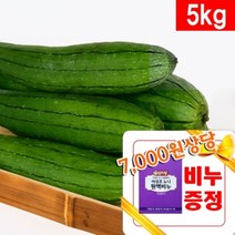 수세미열매 5kg - 국산 생수세미, 1개