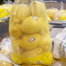 썬키스트 레몬 미국산 1.9kg 이상
