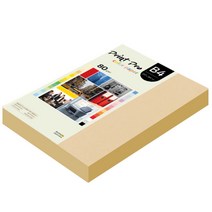 종이문화 프린트프로 칼라복사지 B4 80g No.03 베이지 340매, 340개
