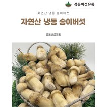 [버섯사랑] 자연산 능이버섯 특품 건조B급 1kg