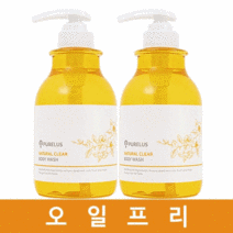 1+1 약산성 바하 바디워시 올인원 향좋은 남자 퍼퓸 바디샤워, 01.오일프리 바디워시 530ml 2개