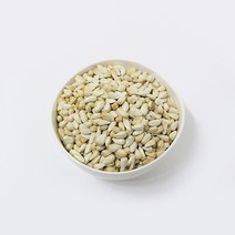 세척볶음 홍화씨 (500g) 앵무새 모이 먹이 사료 모란 코뉴어, 1봉