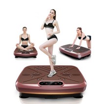 덜덜이 진동 진동기 털털이 진동운동기 벨트마사지기, C