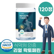 MBP 유단백추출물정 뼈엔 뼈건강 엠피피 mbp 앰비피 고함량 대용량 분말 가루 캡슐 효능 효과 1000mg x 120정, 1개