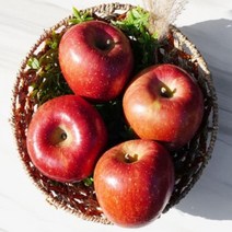 농부파파 경북 청송 저온착즙 달콤한 사과즙 사과주스 110ml 50포, (정품) 5kg 소   (20-23과)