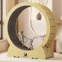 하바펫 캣휠 펫휠 고양이 런닝머신 저소음 운동기구, XL