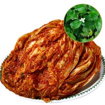 국내산 유기농 한방 포기김치3kg, 삼백초포기김치, 김치3kg