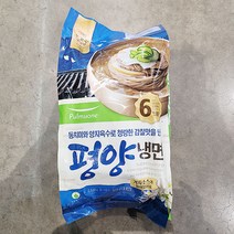 풀무원 풀무원 평양물냉면 2 538g (6인), 아이스박스포장