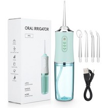 휴대용 구강 세척기 치아 청소 전동 교정 칫솔기 스케일러 350ML 5 노즐, 01그린