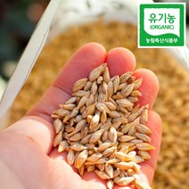 유기농 겉보리 엿기름 새싹보리씨앗 엿질금 키우기 국산, 겉보리(유기농) 2kg, 1개