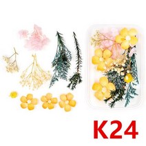 비누 양초 만들기용 압축 건조 꽃 안개꽃 홈 데코, K24