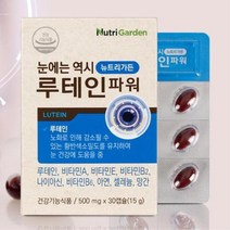중학생 눈이 침침 루테인 황반 변성 영양제 건조한눈 루테윈 황반색소 눈흐림 수험생 황반변성영양제 중년