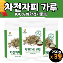 3통 인도 차전자피분말 차전차피 차전자씨 식이섬유소 섬유질 가루 분말 먹는법 후기 여자 남자 성인남녀 중년 장년 할머니 할아버지 20대 30대 40대 50대 60대 70대 80대