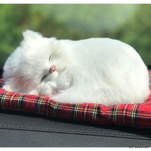 인형 고양이 차량용 활성탄 KC인증 미니캣 탈취제 리얼펫, 1미미캣-아메리칸숏