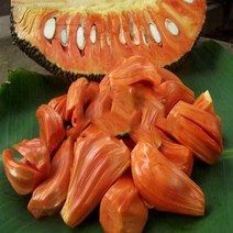 베트남 Premium 레드 잭프루트 / MIT DO CAO CAP VIET NAM 400g, 1개